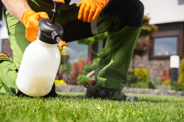Best Commercial Pest Control Services  in Waimanalo, HI