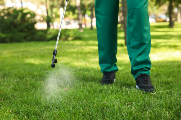 Best Termite Control Services  in Waimanalo, HI